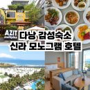호텔아지트 | 다낭 숙소 추천 감성 신라 모노그램 호텔 3인 수영장 예약 후기
