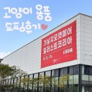 롯지네펫살롱 | 2023 수원 메쎄 가낳지모 캣페어 쇼핑 후기 📣메쎄 주차 팁