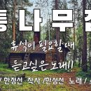 Billy Joel - The Stranger./.천일의 앤 ost / 부베의 연인 ./.통나무집... 이미지