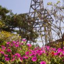 우리벨리펜션 이미지