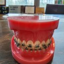 주사랑치과의원 이미지