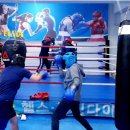 엘마복싱체육관 이미지