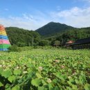 송광사 | 완주여행코스, 완주 송광사 연꽃, 송광사 방문 후기