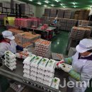 웰빙영농조합 농장 이미지