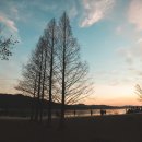 두물머리민박 이미지