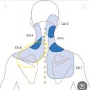 [분당 및 서울남부권역] 목디스크, 허리디스크 전문병원 및 대학병원 초진방법, 진료 경과 기록(19~21년...