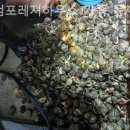 마검포레져하우스