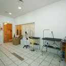 도그홀릭 이미지