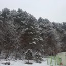 새술막길 이미지