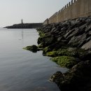 섬들경로당 이미지