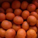 준이네농장 이미지