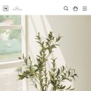 모어댄원 이미지