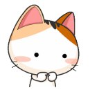 취하는밤 Daum카페
