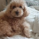 야탑그린약국 이미지