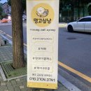 멍고싶냥 네이버블로그