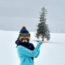 통큰엔설국 | [일본] 설국의 도시, 삿포로