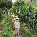 다경어린이집 이미지