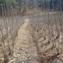 흥산농장 이미지