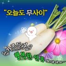 풀풀풀