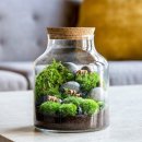 테라리움A 이미지