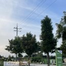 영인농장 이미지