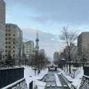 삿포로 스시맛집 : 니조시장 타케에 스시, 오픈런 후기