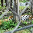 춘양농장 이미지