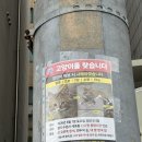 다올푸드 | 세류동 한식맛집 다올식당 내돈내산 혼밥 제육볶음 후기