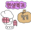 터틀샵 이미지