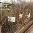 민이농장 이미지