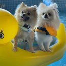 올라펜션 이미지