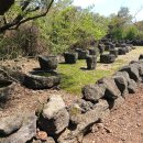 가나제주여행사 이미지