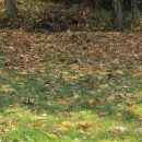 가을날 역사여행 이미지