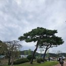 동남구차량등록사업소 | 천안삼거리 공원 능소설화 이야기