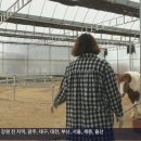 형근농장 이미지