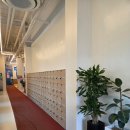 엠제이 | 대전 프리다이빙 초보 체험 원데이 후기 [엠제이프리다이빙]