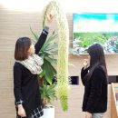 영주2동행정복지센터 쿠키뉴스