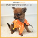 모서2리 이미지