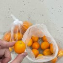 안금농장 이미지