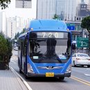 금화메디텍 네이버블로그