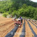 단양군 농기계임대사업소 본소 이미지