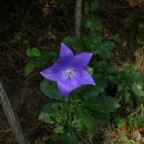 봉곡동142 이미지