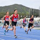 울진종합운동장 이미지