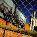 행복한집사 이미지