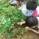 신애유치원 이미지