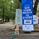 복남펫하우스 | 연암대교육 +시험후기