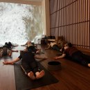 DOG PC | 동탄 요가 직장인 하루 30분 허리·목 통증 완화