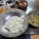 낙지와칼치