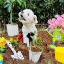 토마토유치원 이미지