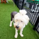 멍펜션8 이미지